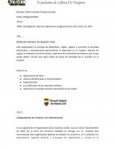 Investigación sobre los organismos y organizaciones: DAC, OACI y la IATA.