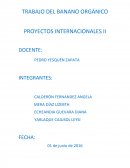 TRABAJO DEL BANANO ORGÁNICO PROYECTOS INTERNACIONALES II