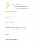 Asignatura: Laboratorio de Física I