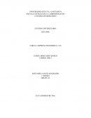 EMPRESA WONDERFUL CAT