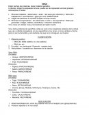 VIRUS Están hechos de proteínas, tienen material genético.