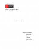 Análisis de caso laboral chileno