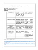 Cuadro Análisis del Ecosistema