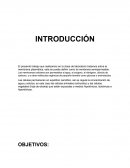 El presente trabajo que realizamos en la clase de laboratorio tratamos sobre la membrana plasmática, este se puede definir como la membrana semipermeable.