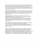 Informe de alumna de cuatro años