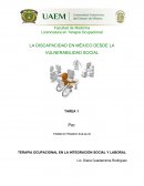 LA DISCAPACIDAD EN MÉXICO DESDE LA VULNERABILIDAD SOCIAL