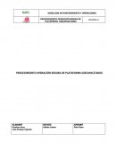 PROCEDIMIENTO OPERACIÓN SEGURA DE PLATAFORMA DISCAPACITADOS