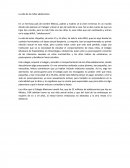 La vida de las niñas adolecentes.