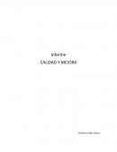Informe CALIDAD Y MEJORA