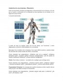 Anatomia de una empresa.