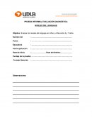 Niveles del lenguaje.