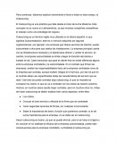 Ensayo sobre el Outsourcing