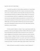 Ingravidez: efecto sobre el cuerpo humano.