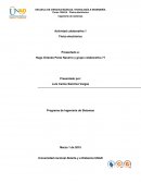 Trabajo colaborativo 1 Fisica Electronica UNAD.