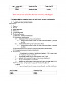 LINEAMIENTOS PARA TENER EN CUENTA AL REALIZAR EL PLAN DE SANEAMIENTO.