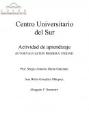 AUTOEVALUACÍON PRIMERA UNIDAD