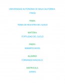 TOMA DE MUESTRA DEL SUELO