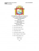 Colageno y queratina.