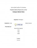 Nuestra Señora Reyna de La Paz