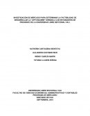 INVESTIGACIÓN DE MERCADO PARA DETERMINAR LA FACTIBILIDAD DE DESARROLLAR LA “APP UNILIBRE” DIRIGIDA A LOS ESTUDIANTES DE PREGRADO DE LA UNIVERSIDAD LIBRE SECCIONAL CALI.