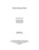 ERGONOMÍA COGNITIVA Y AMBIENTAL (ANALISIS DE ILUMINACIÓN Y RUIDO)