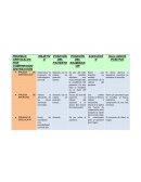 PRUEBAS CERVICALES POR COMPRESIÓN/