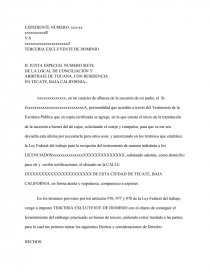 TERCERIA EXCLUYENTE DE DOMINIO.. Página 1