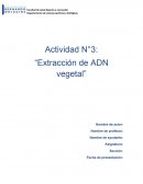 Extracion de adn.