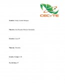 Filosofia - La sociedad ideal.