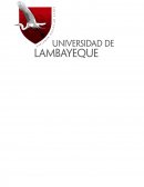 LOS CONTINENTES SE REÚNEN Y SE DESPIDEN.