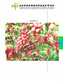 PRECOOPERATIVA COMERCIALIZADORA AGRICOLA EL ROBLE DEL HUILA Y TOLIMA.