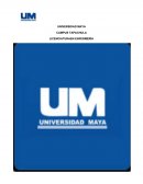 ATENCIÓN DE ENFERMERÍA REALIZADO BAJO LOS 13 DOMINIOS DE LA NANDA A UN PACIENTE CON LEUCEMIA