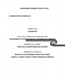 ORGANISMOS DE PROTECCION DE LOS DERECHOS HUMANOS.