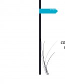 NORMAS ESTANDARES Y PROCEDIMIENTO DE TRABAJO SEGURO
