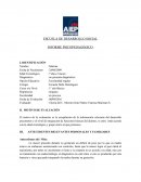 Tema- Informe psicopedagogico.