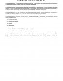 Tema: INGENIERÍA FINANCIERA.