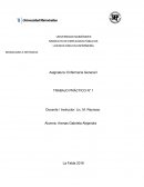 MODALIDAD A DISTANCIA TRABAJO PRÁCTICO N° 1