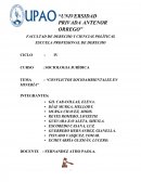 CONFLICTOS SOCIOAMBIENTALES EN LA MINERIA DEL PERU