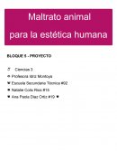 Maltrato animal para vanidades.