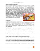 Cuento infantil de Robinson Crusoe