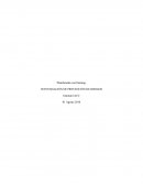 INVESTIGACIÓN DE PREVENCIÓN DE RIESGOS - Planificando con Deming.