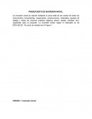 PRESUPUESTO DE INVERSIÓN INICIAL..