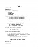 LA TELEVISIÓN Y EL MARCO LEGAL.