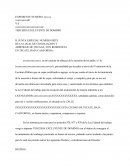 TERCERIA EXCLUYENTE DE DOMINIO.