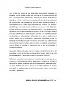 Análisis: Práctica reflexiva.