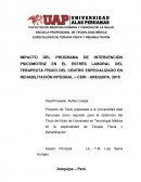 TEMA: IMPACTO DEL PROGRAMA DE INTERVENCIÓN PSICOMOTRIZ EN EL ESTRÉS LABORAL DEL TERAPEUTA FÍSICO DEL CENTRO ESPECIALIZADO EN REHABILITACIÓN INTEGRAL – CERI - AREQUIPA, 2015.