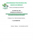 Proyecto Campaña de valores, Campeche San Isidro II Un regalo de amor