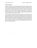 Gerencia de proyectos.