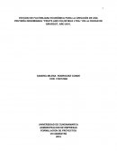 Estudios de factibilidad fruteria actual.