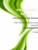 Anatomía macroscópica del riñón.